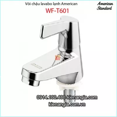Vòi lạnh chậu lavabo  lanh-American-standard-WF-T601