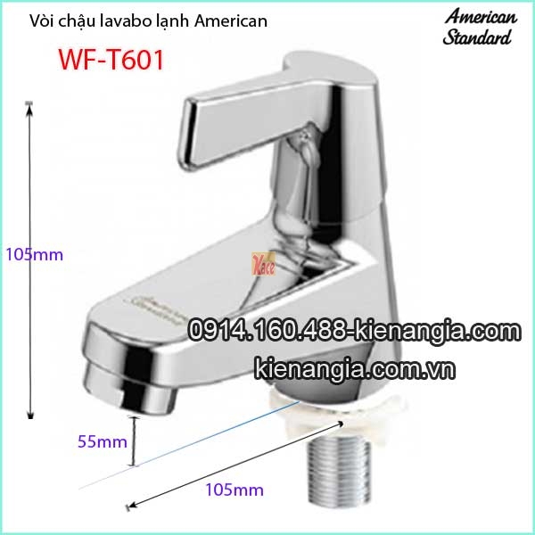 Voi-chau-lavabo-lanh-American-standard-WF-T601-5