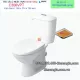 Bồn cầu INAX thoát ngang 2 nhấn chính hãng C306VPT