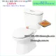 Bồn cầu INAX  2 nhấn chính hãng C306VA