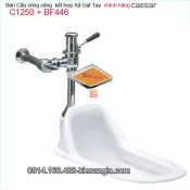 Xí xổm và xả Gạt chính hãng Caesar-C1250-