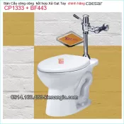 Bàn cầu cụt  và xả Gạt chính hãng Caesar-CP1333