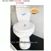 Bồn cầu 2 khối 1 nhấn chính hãng Caesar-CT1325