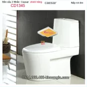 Bồn cầu 2 khối 2 nhấn chính hãng Caesar-CD1345