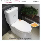 Bồn cầu 2 khối 2 nhấn chính hãng Caesar-CD1341