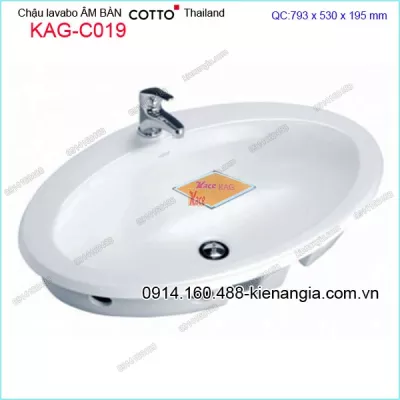 Chậu lavabo âm bàn dương vành COTTO Thailand KAG-C019