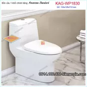 KBồn cầu liền 1 khối American Standard KAG-WP1830