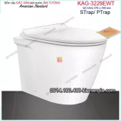 Bồn cầu Đặt sàn,két nước âm tường American Standard KAG-3229EWT