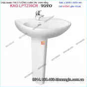 Chậu lavabo chân đứng TOTO chính hãng 500X580mm KAG-LPT239CR