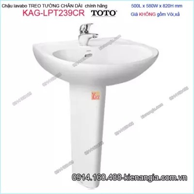Chậu lavabo chân đứng TOTO chính hãng 500X580mm KAG-LPT239CR