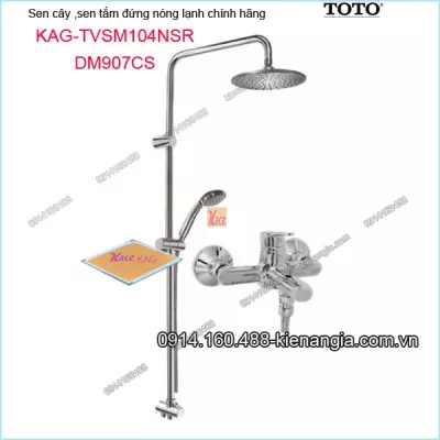Sen tắm đứng TOTO KAG-TVSM104NSRDM907CS