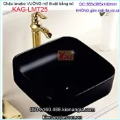 Chậu vuông mỹ thuật sứ màu đen phong cách KAG-LMT25