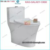 Bồn cầu Vuông 1 khối Thiên Thanh chinh hãng KAG-GALAXY-CK66