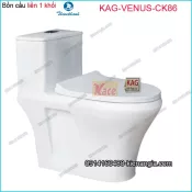 Bồn cầu Vuông 1 khối Thiên Thanh chinh hãng KAG-VENUS-CK86