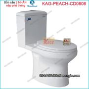 Bồn cầu Vuông 2 nhấn Thiên Thanh nắp êm KAG-PEACH-CD0808