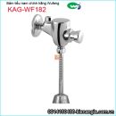 Nhấn hơi bấm tiểu nam Wufeng chính hãng KAG-WF182