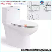 Bồn cầu liền một khối chính hãng Viglacera KAG-V819