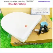 Nắp bồn cầu trẻ em chính hãng Caesar KAG-NAPC1352