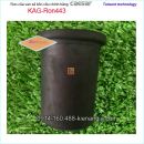 RON cao su van xả bồn cầu Caesar KAG-Ron443