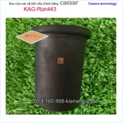 RON cao su van xả bồn cầu Caesar KAG-Ron443
