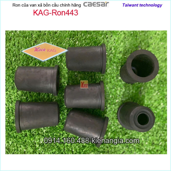 KAG-Ron443-Ron-cao-su-Van-xa-bon-cau-Caesar-KAG-Ron443