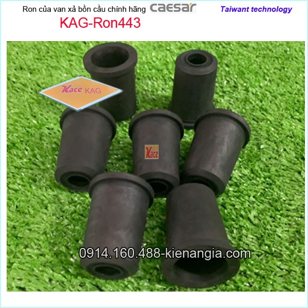 KAG-Ron443-Ron-cao-su-Van-xa-bon-cau-Caesar-KAG-Ron443-1