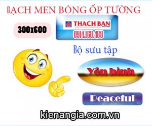 GẠCH THẠCH BÀN ỐP TƯỜNG 30X60 BỘ YÊN BÌNH