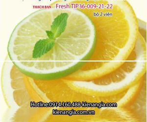 GẠCH ỐP TƯỜNG THẠCH BÀN BỘ TƯƠI MỚI