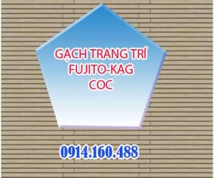 GẠCH NỘI THẤT PHÒNG KHÁCH FUJITO-KAG-COC