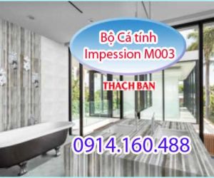 GẠCH THẠCH BÀN MEN MỜ BỘ CÁ TÍNH M003