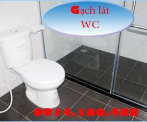 GẠCH KỸ THUẬT SỐ LÁT WC MÀU KEM,XANH,NÂU