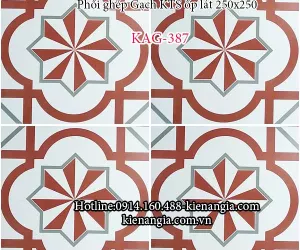 GẠCH BÔNG 25x25 TRANG TRÍ BẾP,PHÒNG ĐỌC SÁCH