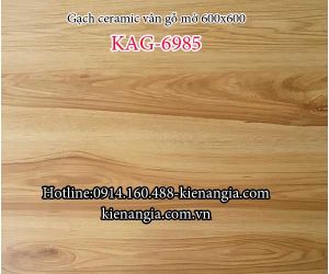GẠCH GIẢ GỖ 60X60 MẪU MỚI 2018 PHÒNG NGỦ