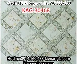 GẠCH LÁT BAN CÔNG NHÀ PHỐ,CĂN HỘ