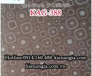 GẠCH KỸ THUẬT SỐ 25X25 ỐP LÁT WC,PHÒNG TẮM