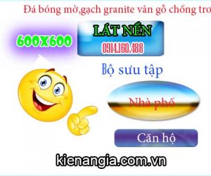 GẠCH GRANITE GIẢ GỖ,GẠCH VÂN GỖ MỜ CHỐNG TRƠN LÁT NỀN