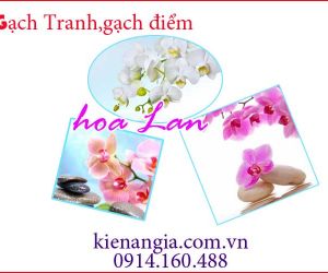GẠCH TRANH 3D HOA LAN