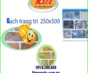 GẠCH ỐP CỔNG,CỘT NHÀ PHỐ ,RESORT,BIỆT THỰ