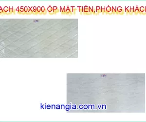 GẠCH 450X900 MỚI NHẤT 2019 ỐP PHÒNG KHÁCH,MẶT TIỀN