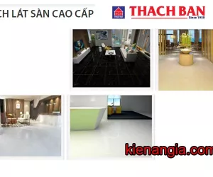 ĐÁ BÓNG KIẾNG GRANITE THẠCH BÀN 60X60 MẪU 2019-2020