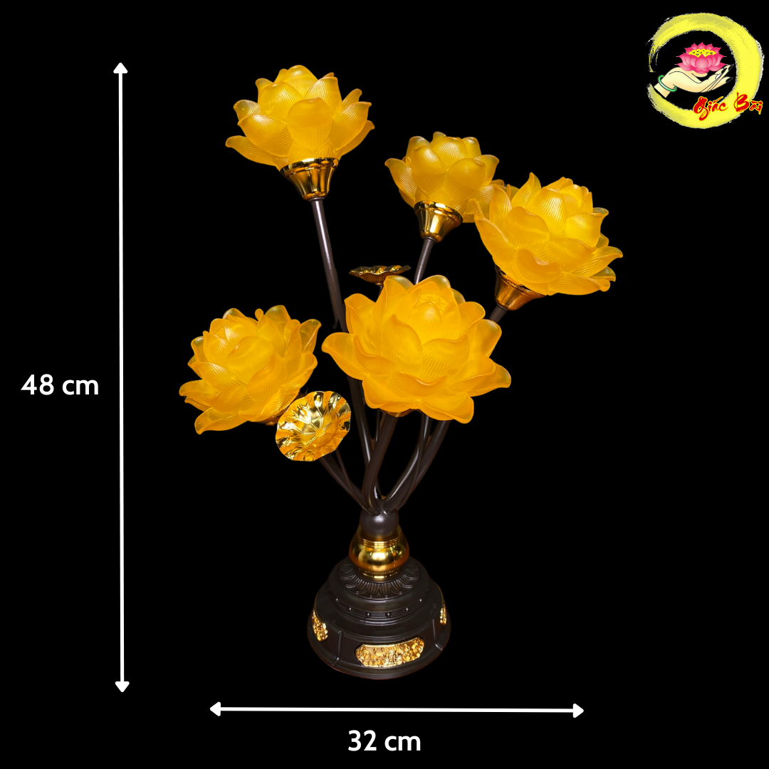 35 cm (1)