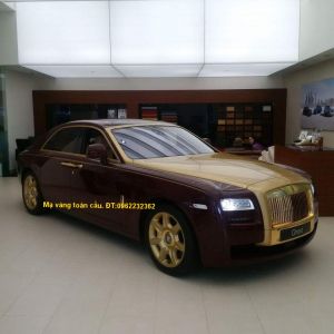 Mạ vàng siêu xe - sx01