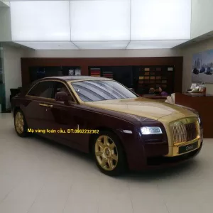 Mạ vàng siêu xe - sx01