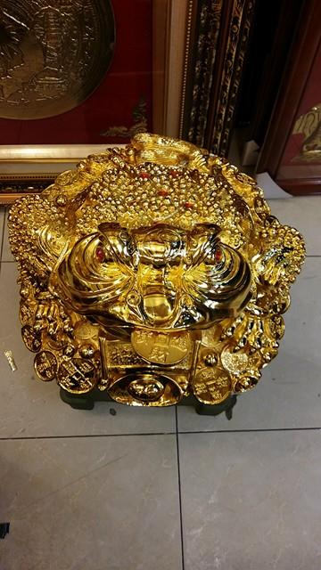 17555567_1812777525712777_154555866_n