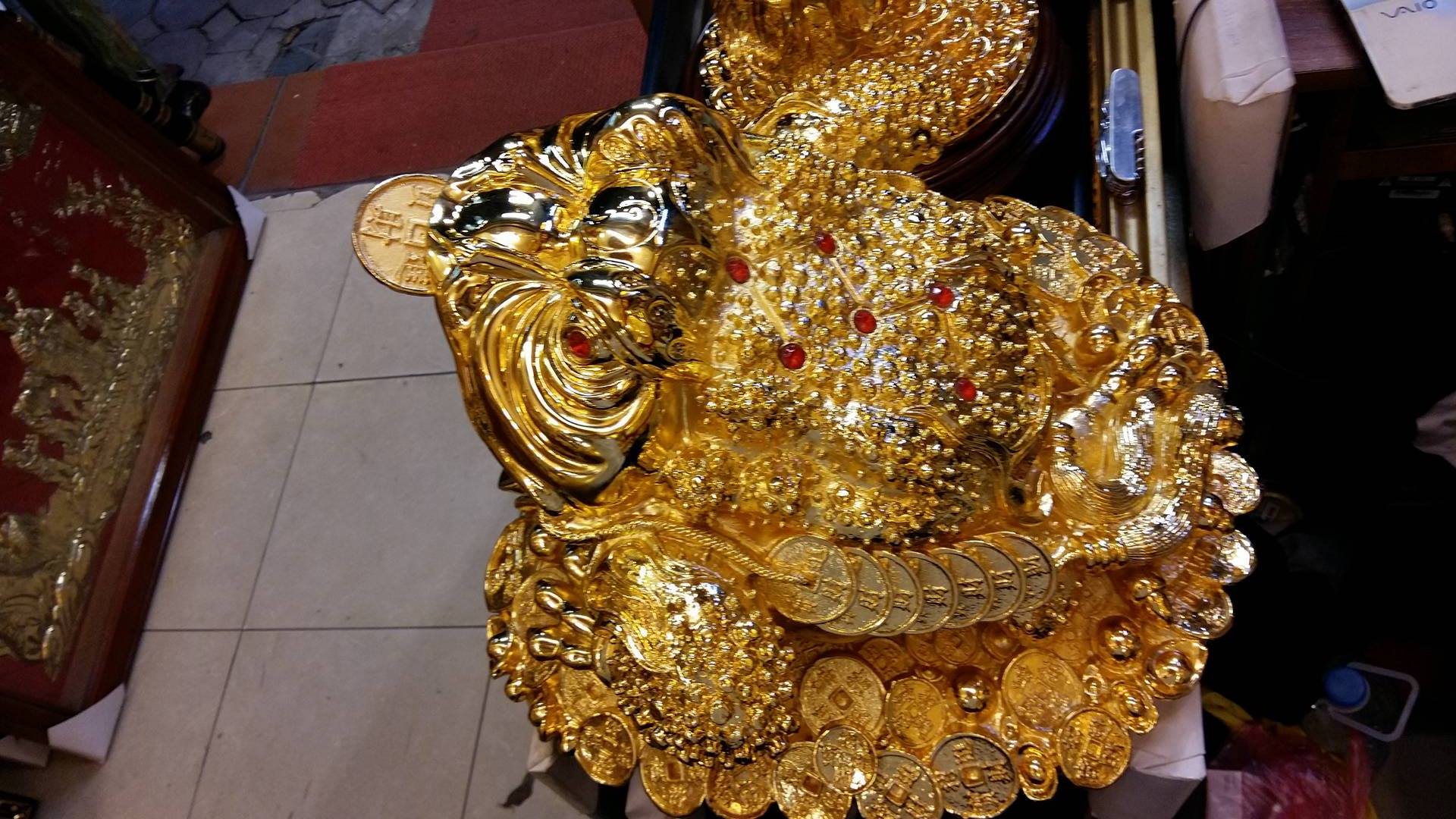 17521853_1812776909046172_900673355_o