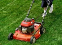 Cách sử dụng máy cắt cỏ
