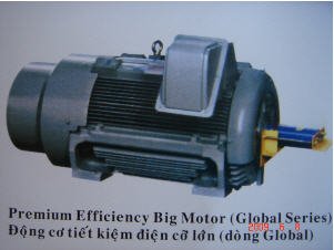 Động cơ tiết kiệm điện cỡ lớn Teco - PEBM