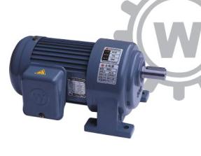 Động cơ WanShin GH 7KW