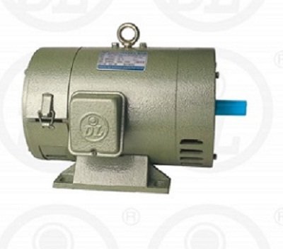 Mô tơ điện DC Dolin DL SH 198V 0.75kW