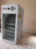 Máy ấp trứng gia cầm MB-500